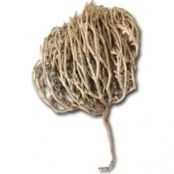 Meryem Ana Eli Otu 1 Adet