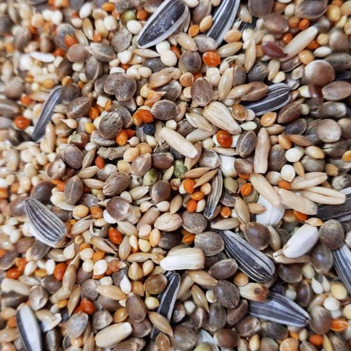 Papağan Yemi Karışık 500 Gr