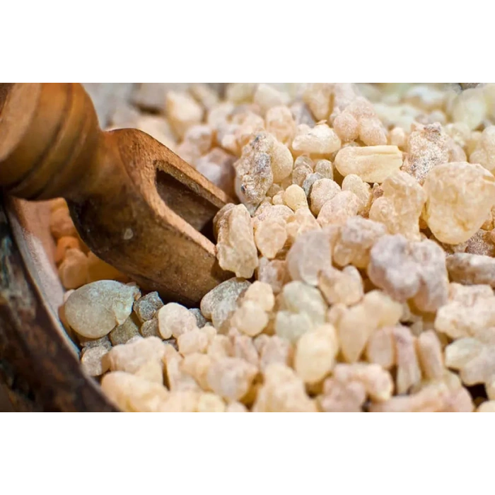 Sandaloz Sakızı 1 KG