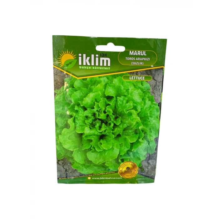 Yazlık Kıvırcık Tohum Sayısı 3500 Adet Civarı