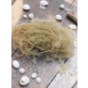 Deniz Kadayıfı 25 Gr