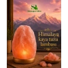 Himalaya Tuz Lambası 2-3 Kg Arası