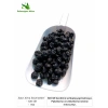 Blueberry (Yaban Mersini) 100 Gr - 1 KG