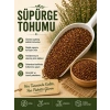 Süpürge Tohumu 1 KG