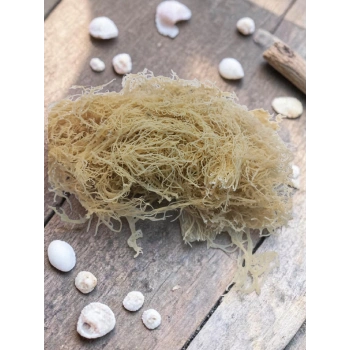 Deniz Kadayıfı 25 Gr