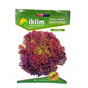 Akdeniz Kıvırcık Tohum Sayısı 550 Adet Civarı