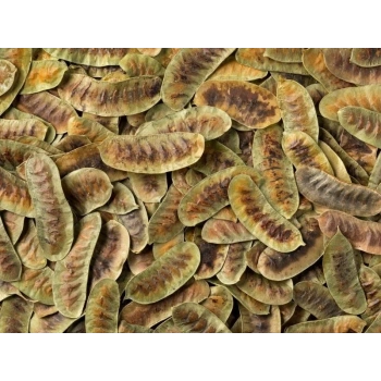 Aşlık (Açlık) Otu 50 GR