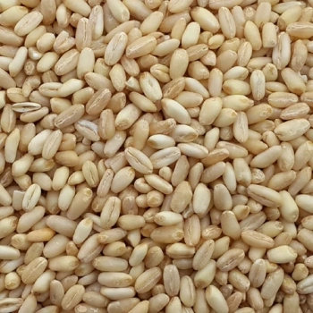 Aşurelik - Çorbalık Buğday 500 Gr