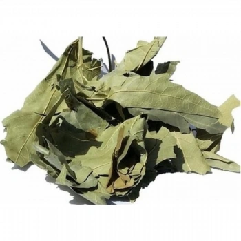 Çınar Yaprağı 30 Gr