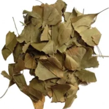 Ginkgo Biloba Yaprağı 30 Gr