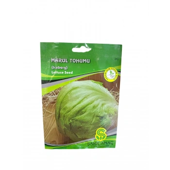 Göbek Atom İceberg Tohum Sayısı 550 Adet Civarı