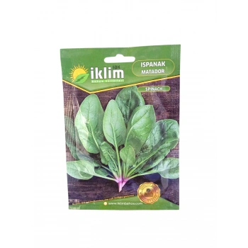 Ispanak Tohum Sayısı 500 Adet Civarı