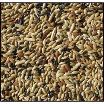 Kanarya Yemi Karışık 500 Gr