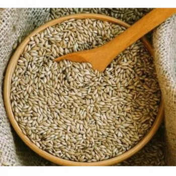 Kanarya Yemi Sade 500 Gr