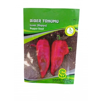 Kapya Biber Tohum Sayısı 400 Adet Civarı