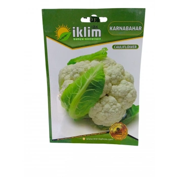 Karnabahar Tohum Sayısı 125 Adet Civarı