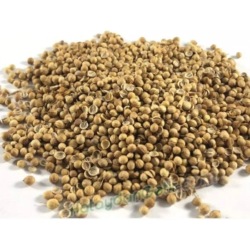 Kişniş Tane 100 Gr