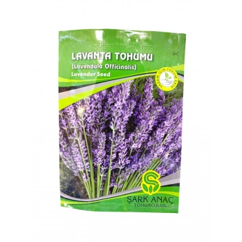 Lavanta Tohum Sayısı 40 Adet Civarı