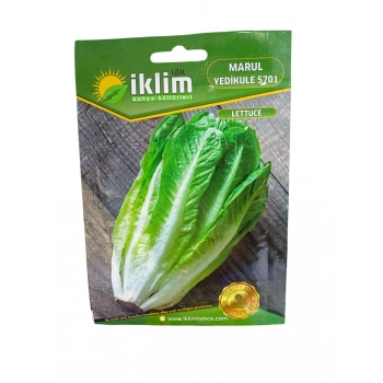 Marul Yedikule Tohum Sayısı 2750 Adet Civarı