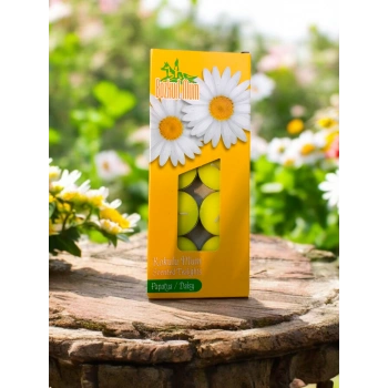 Papatya Kokulu Mum Tea Light 10lu