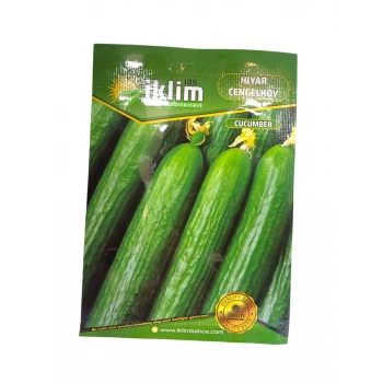 Salatalık Çengelköy Tohum Sayısı 75 Adet Civarı