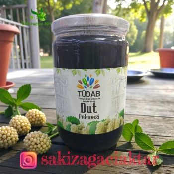 Tudab Dut Pekmez 800 Gr