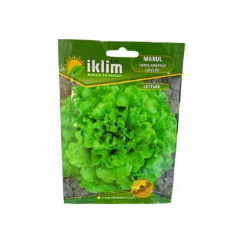 Yazlık Kıvırcık Tohum Sayısı 3500 Adet Civarı