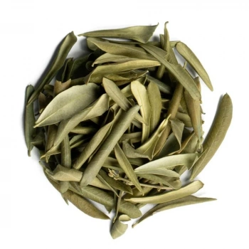 Zeytin Yaprağı 50 Gr
