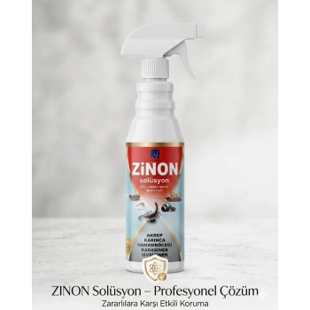 Zinon Genel Haşere İlacı Sprey 450 ML