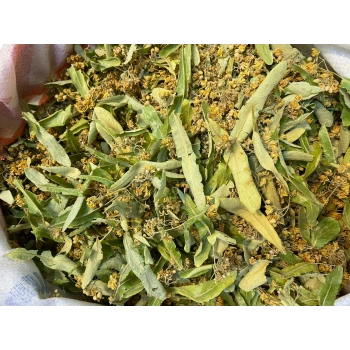 Ihlamur Yaprak 30 Gr