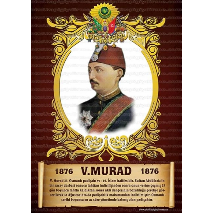 5. Murad P OP 33
