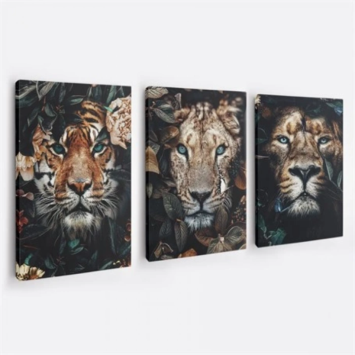 Afrikalı Aslanlar 3lü Duvar Tablo Seti