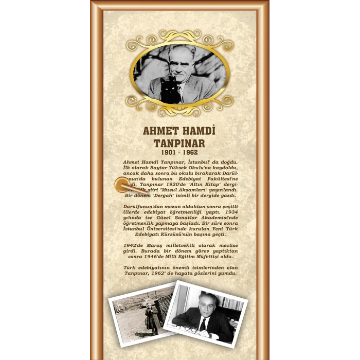 Ahmet Hamdi Tanpınar Kapı Giydirme 06