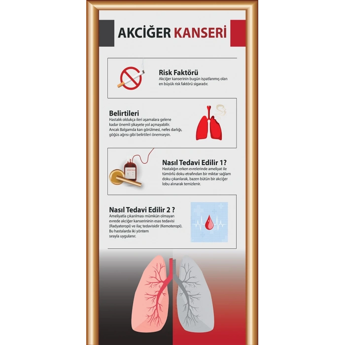 Akciğer Kanseri Kapı Giydirme 16