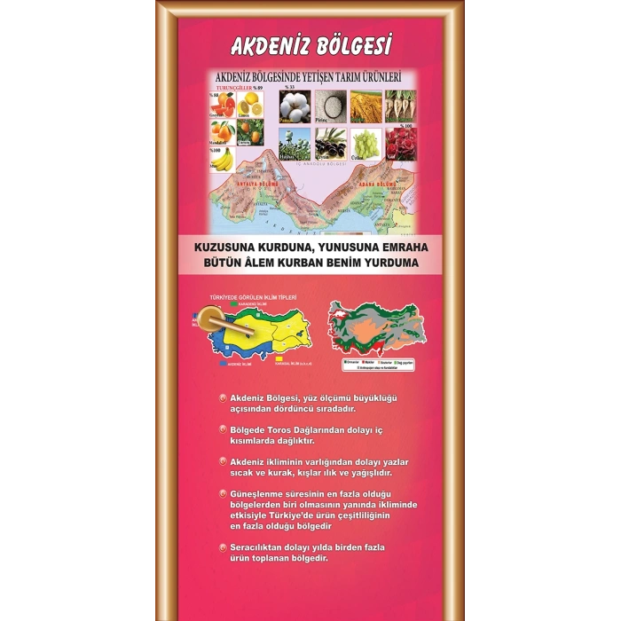 Akdeniz Bölgesi Kapı Giydirme 15