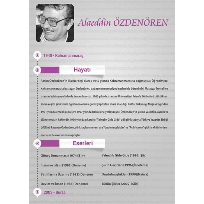 Alaaddin Ozdenoren P SY 01