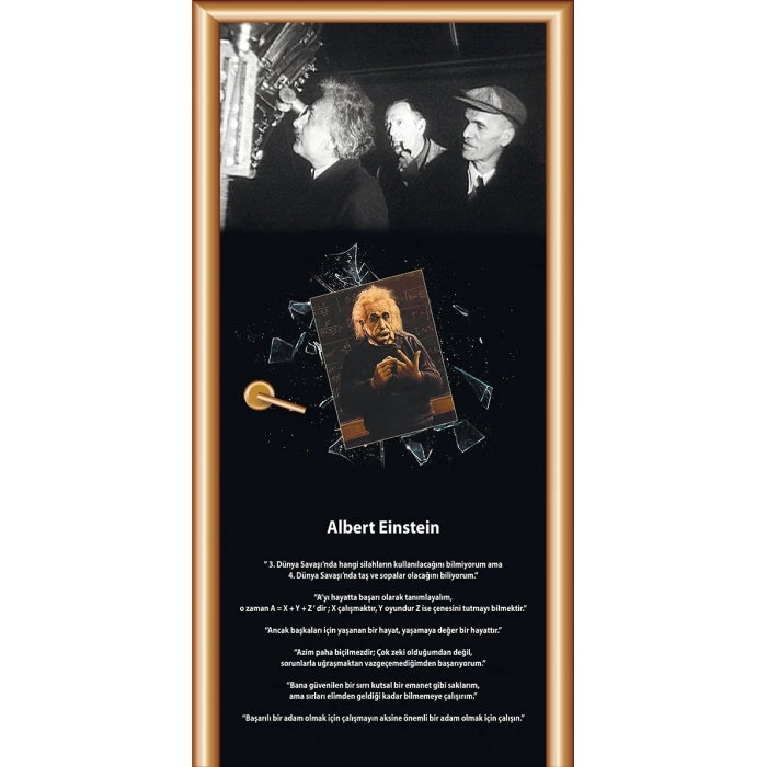 Albert Einstein Bilim İnsanları Kapı Giydirme 49
