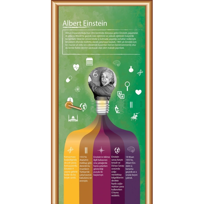 Albert Einstein Bilim İnsanları Kapı Giydirme 53