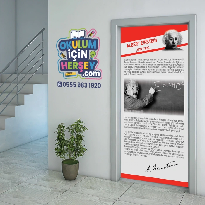 Albert Einstein Bilim İnsanları Kapı Giydirme 74