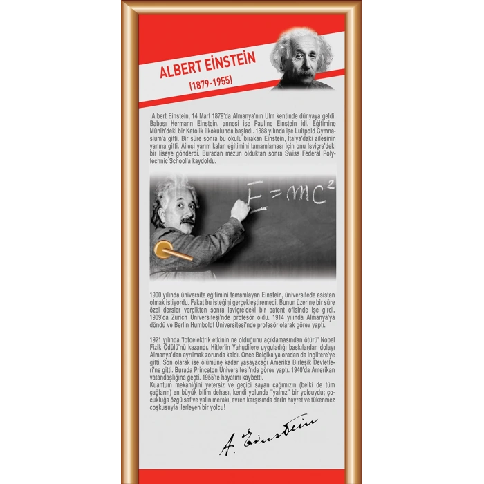 Albert Einstein Bilim İnsanları Kapı Giydirme 74