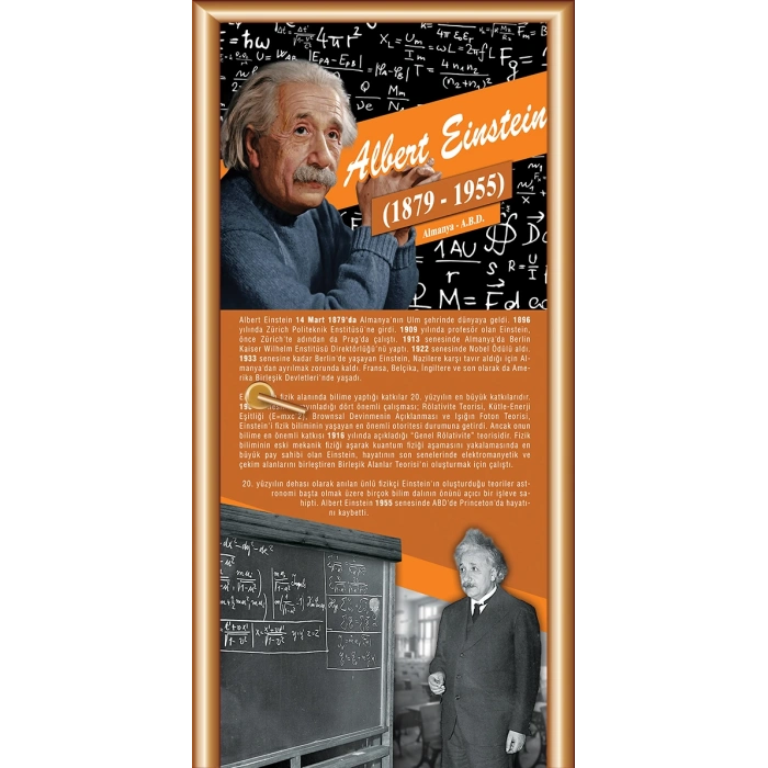 Albert Einstein Bilim İnsanları Kapı Giydirme 90