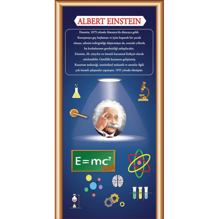 Albert Einstein Kapı Giydirme 33