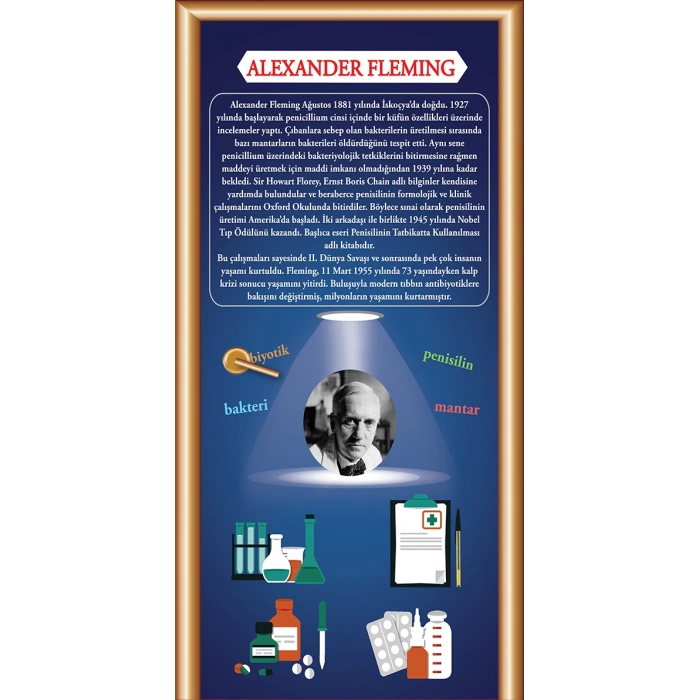 Alexander Fleming Kapı Giydirme 34