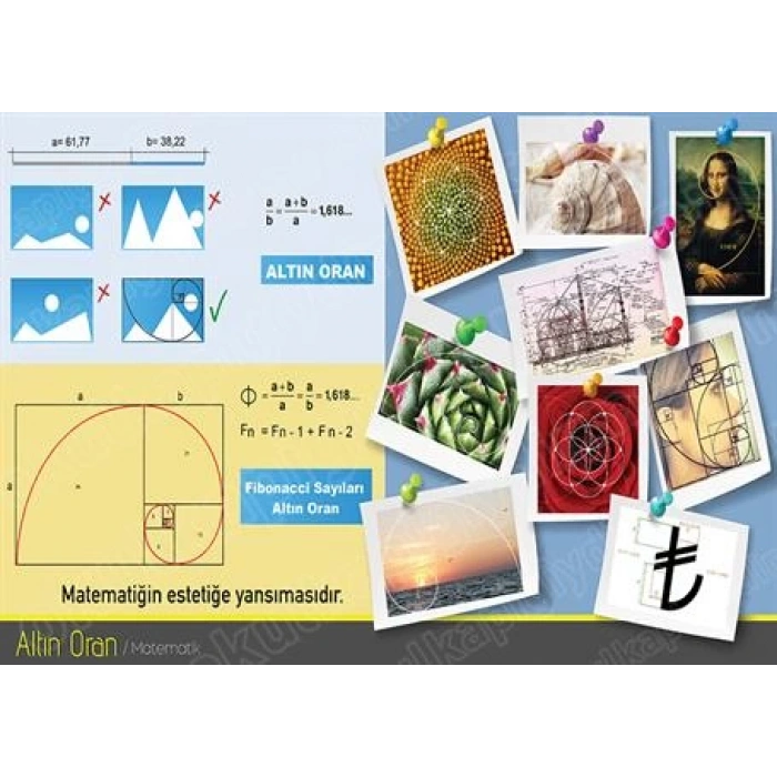 Altın Oran P MAT 03
