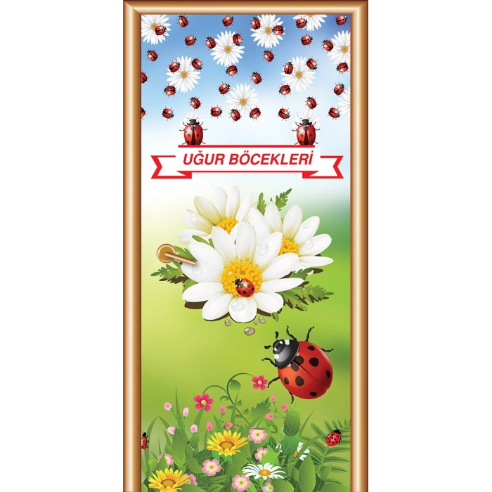 Anasınıfı Kapı Giydirme 185