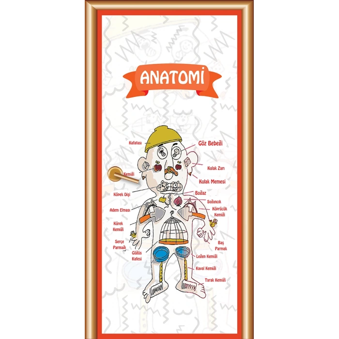 Anatomi Kapı Giydirme 09