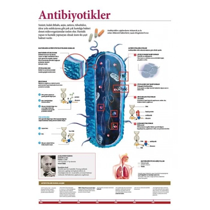 Antibiyotikler P BİY 05