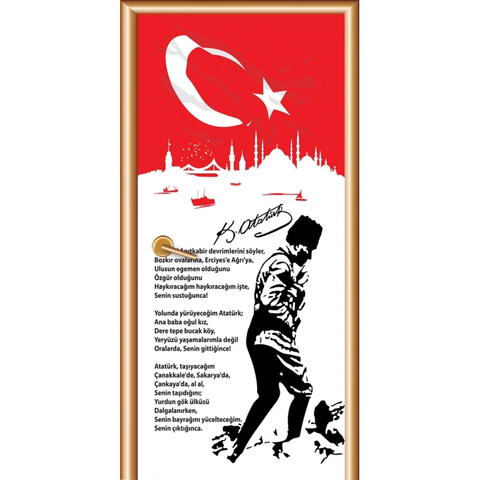 Atatürk Kapı Giydirme 08