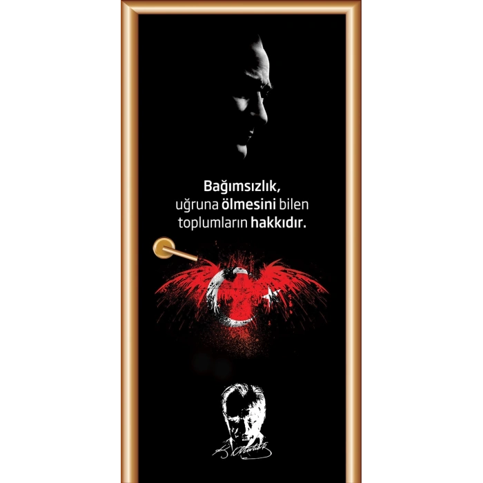 Atatürk Kapı Giydirme 35
