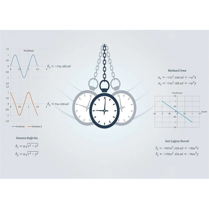 Basit Harmonik Harekette Hız, İvme ve Kuvvet Grafikleri P FİZ 11